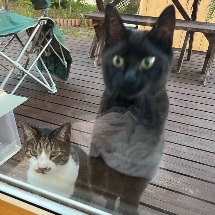 5b4756cf c721 4389 8659 a52a1b87c66b 1750762159816