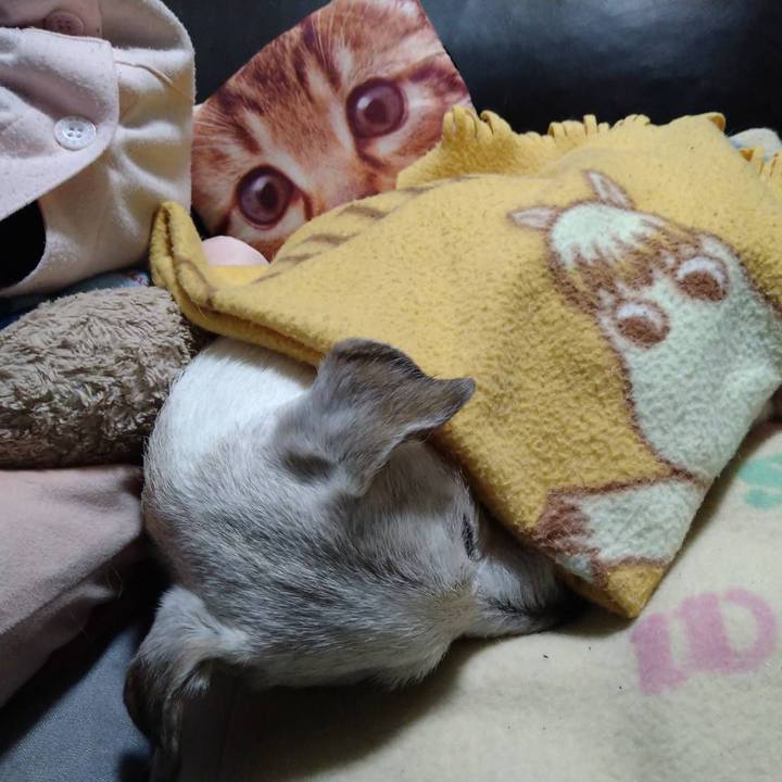 5b475e76 107a 4c17 b307 b77683d372b1 1741783466661