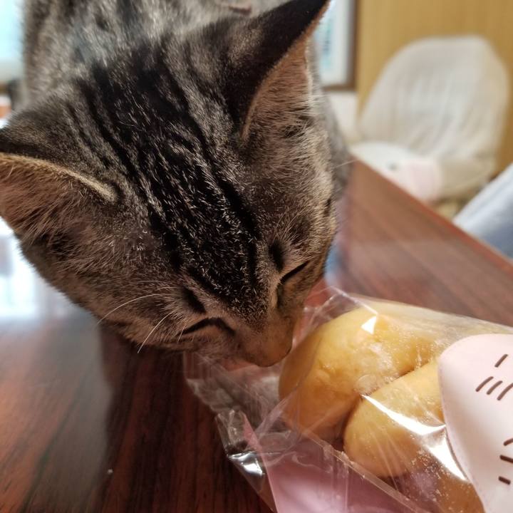 5b4767a1 d1b3 4847 9efa f7bd2e004227 1669043033935