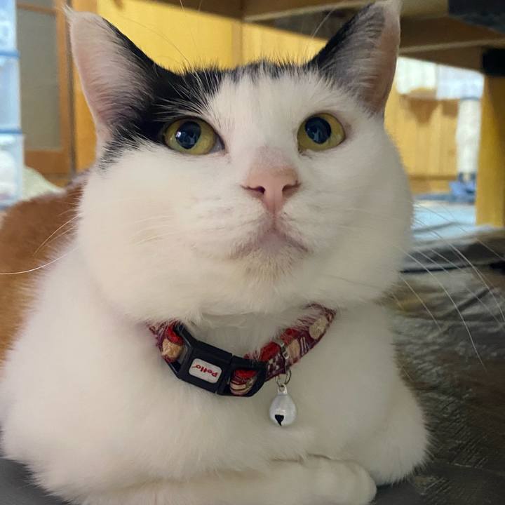 5b4797c3 e2ff 41f0 aff0 098d59d334f0 1653572099792