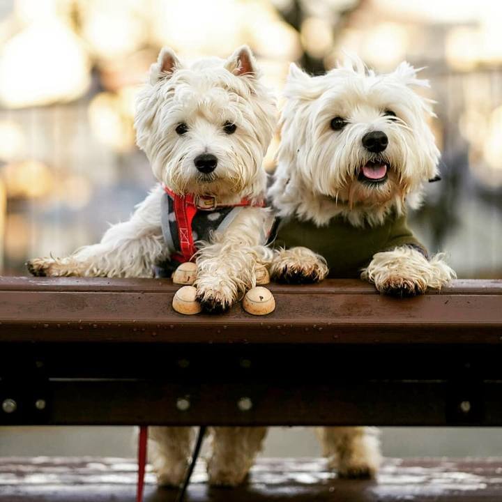 5b479dbd 1852 4b56 8297 30d99cc7b386 1516249644897