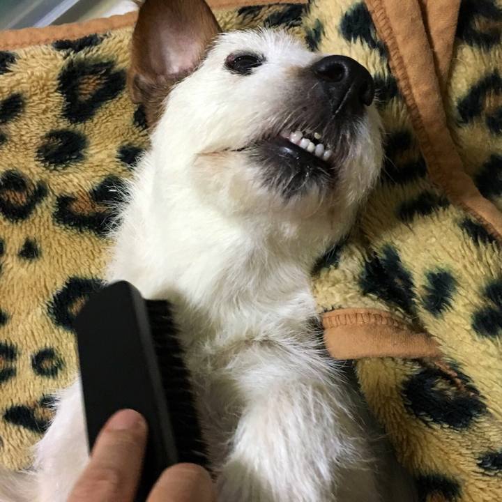 5b47a196 7bdf 4fc8 90c4 ddaeedf4f8d3 1548282583407