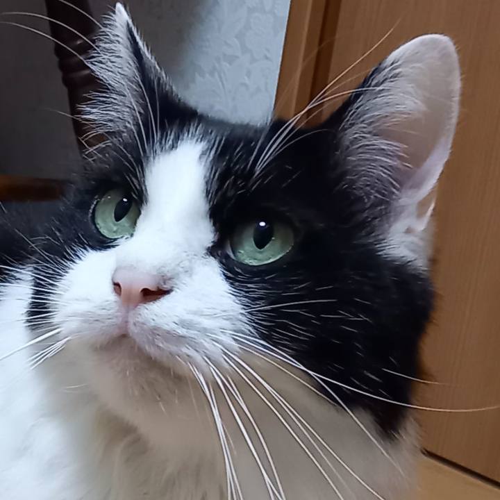 5b47b1fe ef80 44d6 b600 ef52b8fd78f7 1642202722174