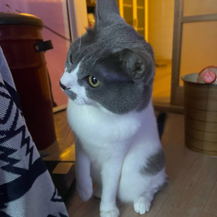 5b47c147 0c67 4ae2 9271 9c589781ace1 1665096245942