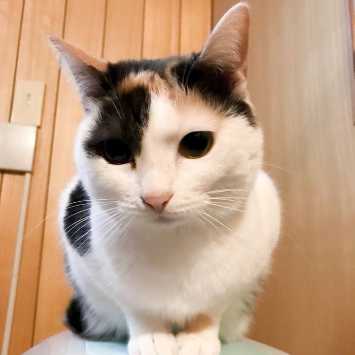 5b47ef7e 3061 40d5 8524 68b6ea4812f8 1523928738081