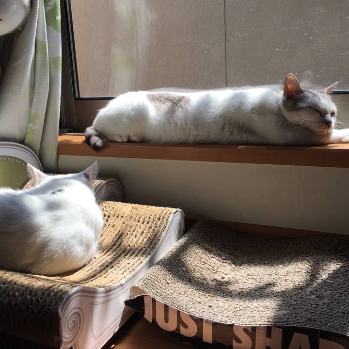 5b47f77d 3e4f 4782 af50 798e24fcc29a 1554432886606