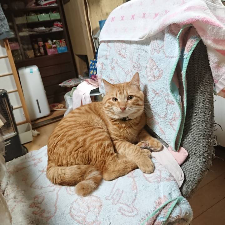 5b48217c c2b0 4b7e ae56 88bd018508bc 1644755087831