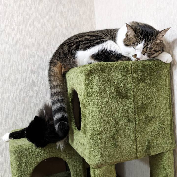 5b4877c1 d3ec 47a4 b993 7003bdaf1b1f 1690870917549