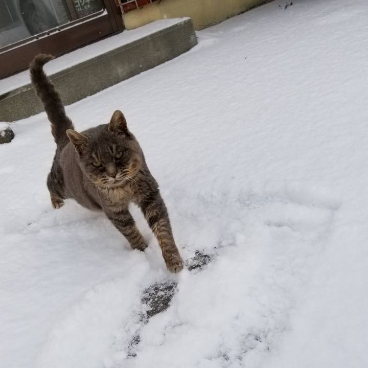 5b487fcd 6414 4605 9151 83afde38f975 1546154107606