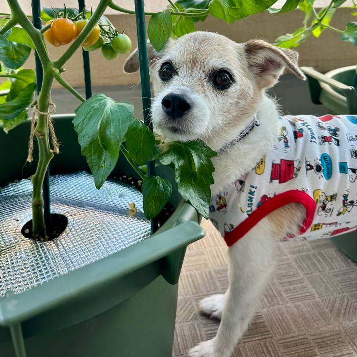 5b48b91f ad9b 4ccb a785 903a2fea73cb 1750130407459