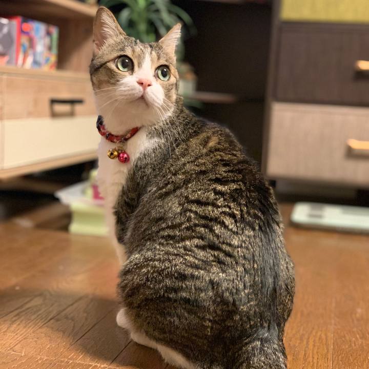 5b48d209 2852 41a0 b007 5b6d567e8ea2 1635807651603