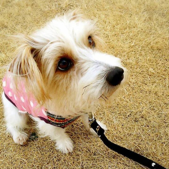 5b48d98d 216c 4efa a882 c43a22066395 1642851278932