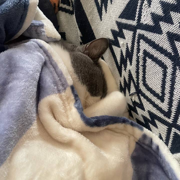 5b48e9f1 72ea 432e 8c6b 22a41c26004e 1734847853953