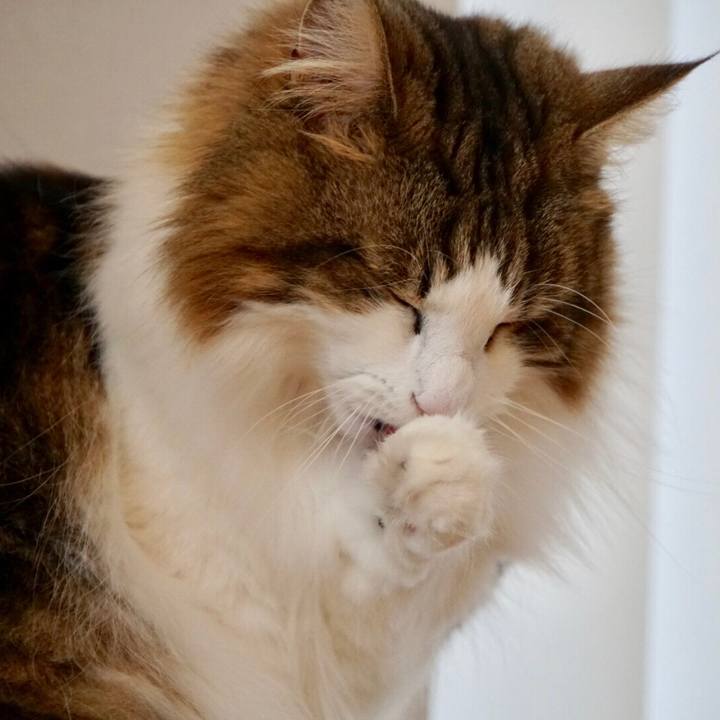 5b4909d6 ce28 459a 9141 528cf274781d 1549022013130