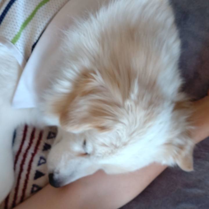 5b4917a4 f072 4f57 9dd2 17210d1c1236 1649569994638