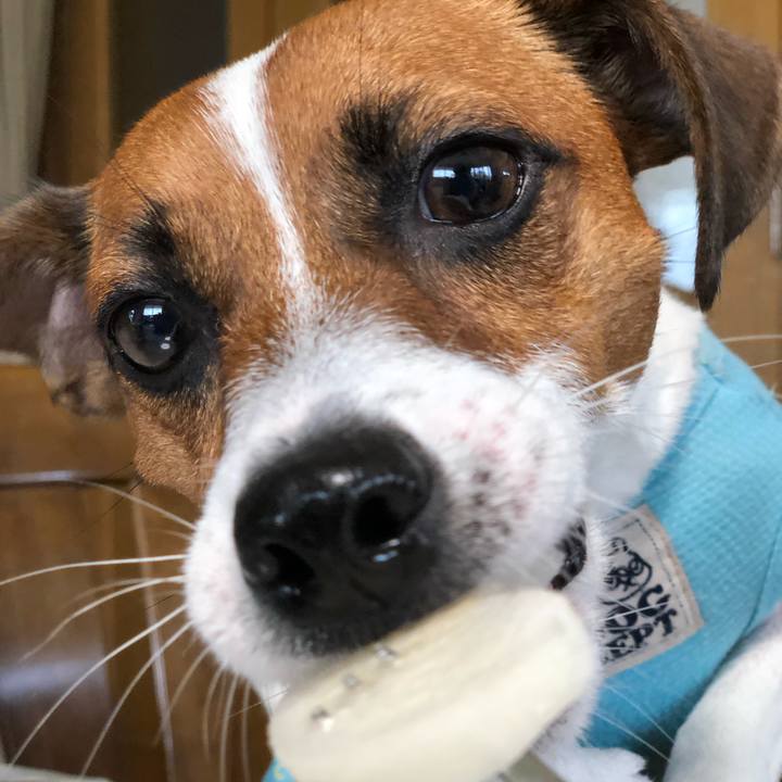 5b4934de cdd1 444d b5ca 5211ae112d5f 1566345893993