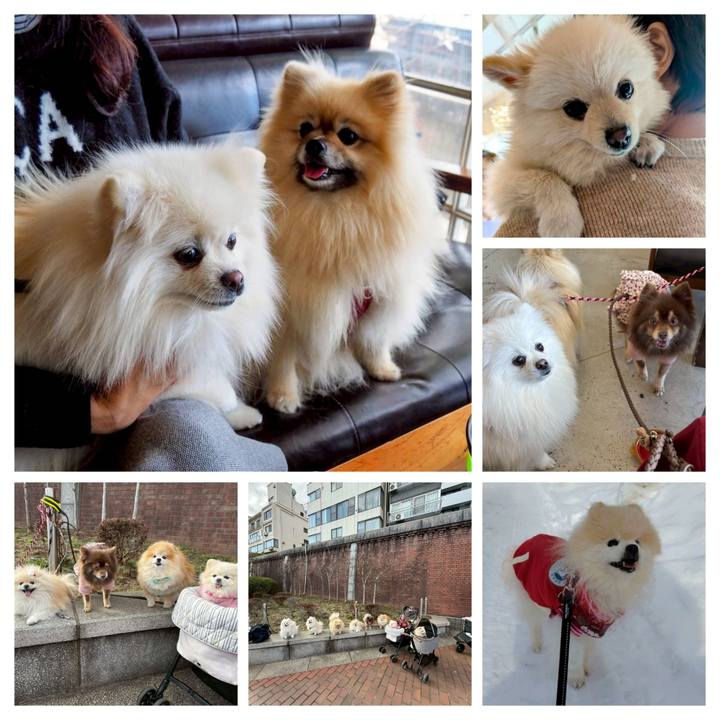 5b4947eb 0a8f 4e17 abe9 59ecfd6e150d 1768190267844