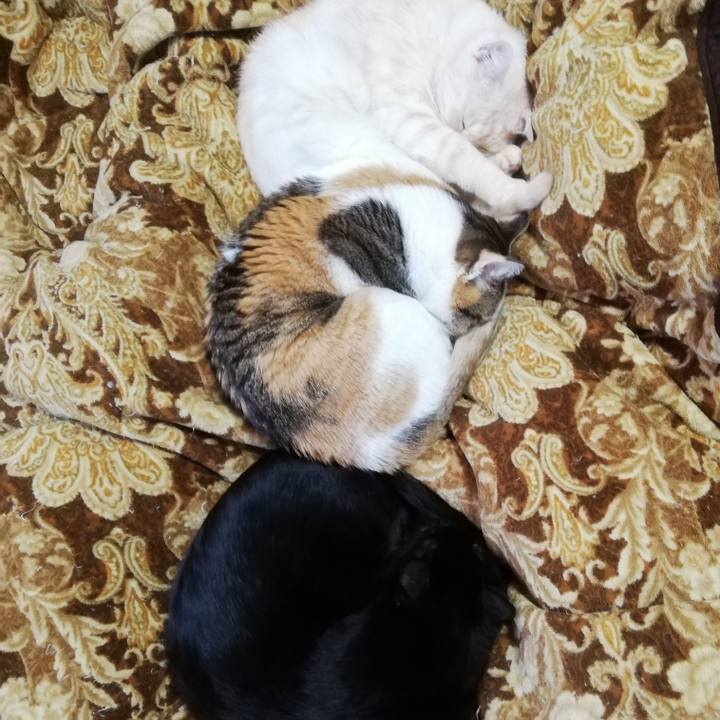 5b49751a ae41 48e9 bc74 30295943780a 1644730503717