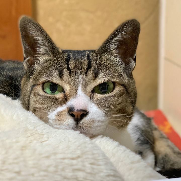 5b4977e4 37b1 4030 9188 4138c24ea45a 1588987131699