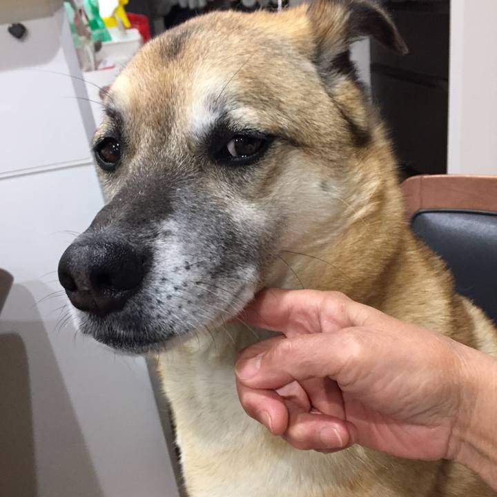 5b4986df cfe6 4011 a6be 3c25fdac9581 1524137076683