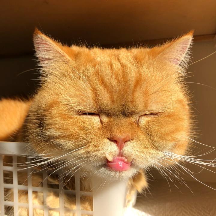 5b498803 5496 4bf8 8bbe 80946780c409 1544239368945