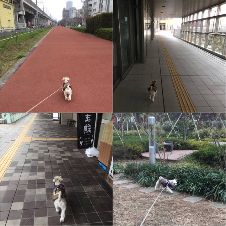 5b49b723 77f4 4ff8 ae96 35f8fcda9f85 1545549375043