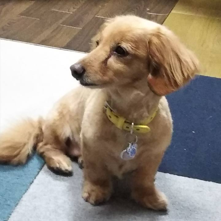 5b4a0441 38b0 4ed8 b10d 29447abd73f1 1622111068725