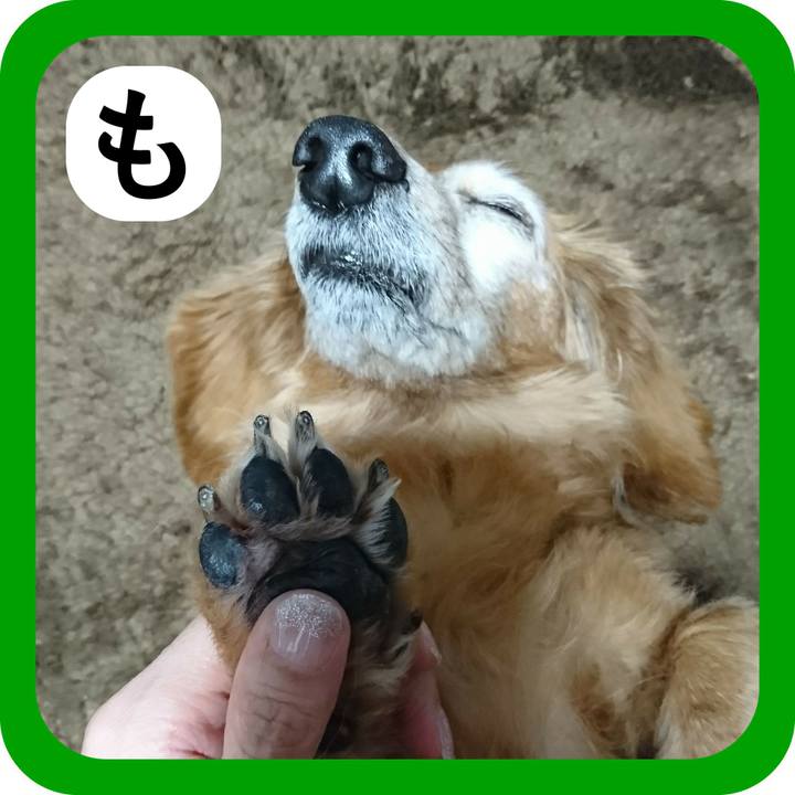 5b4a0c8d 0d8f 4055 a2b0 2a493648b7ce 1514879705410