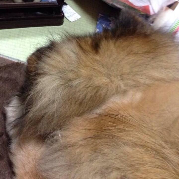 5b4a1338 6c4e 49ce a4f6 217ab8a0170b 1556090766562