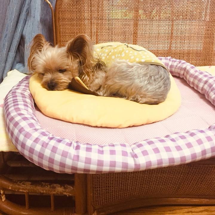 5b4a1cbf 0211 4446 aa25 47738057bdfa 1538347099266