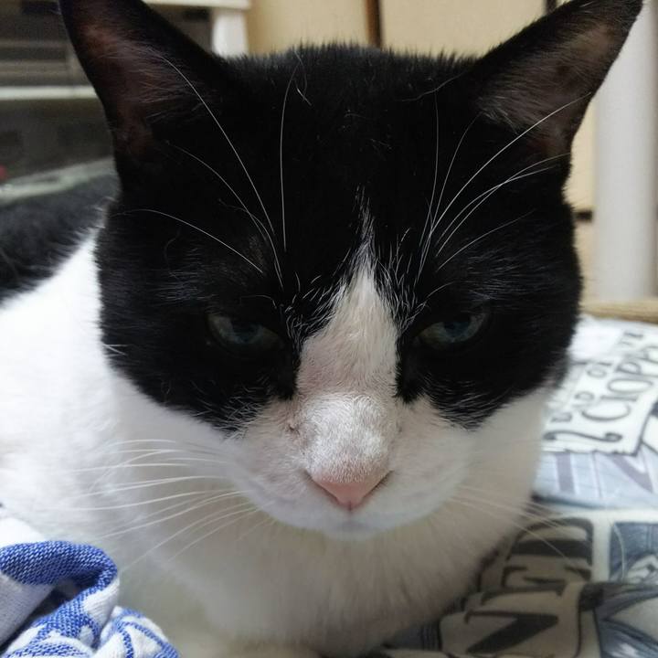 5b4a99c7 edcf 4914 a986 c3899ae79fa4 1532134064768