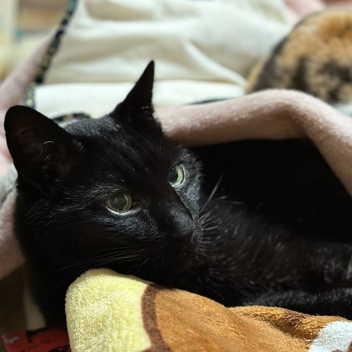 5b4ab870 ddf5 4b35 a8cd 1fb8e70d154e 1674961053360