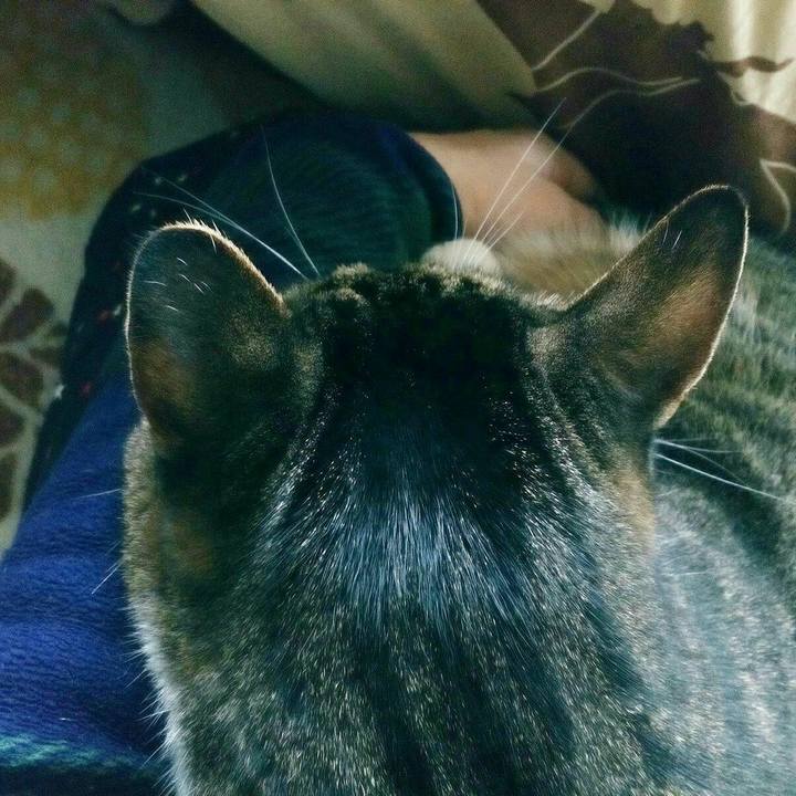 5b4acd3a 70d5 4fd6 b82e 51fbdedf3cf5 1543885517423