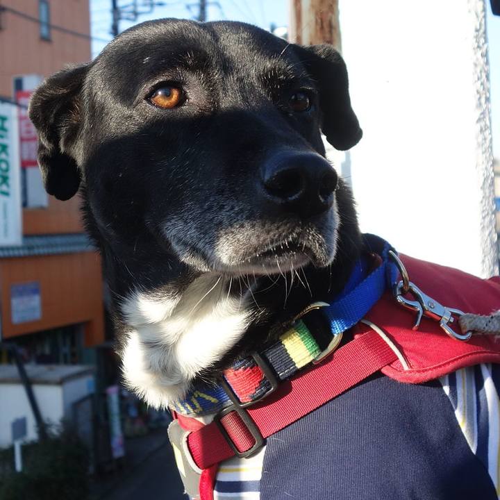 5b4af6bd e894 4d40 a2a0 03df767ee325 1677548024667