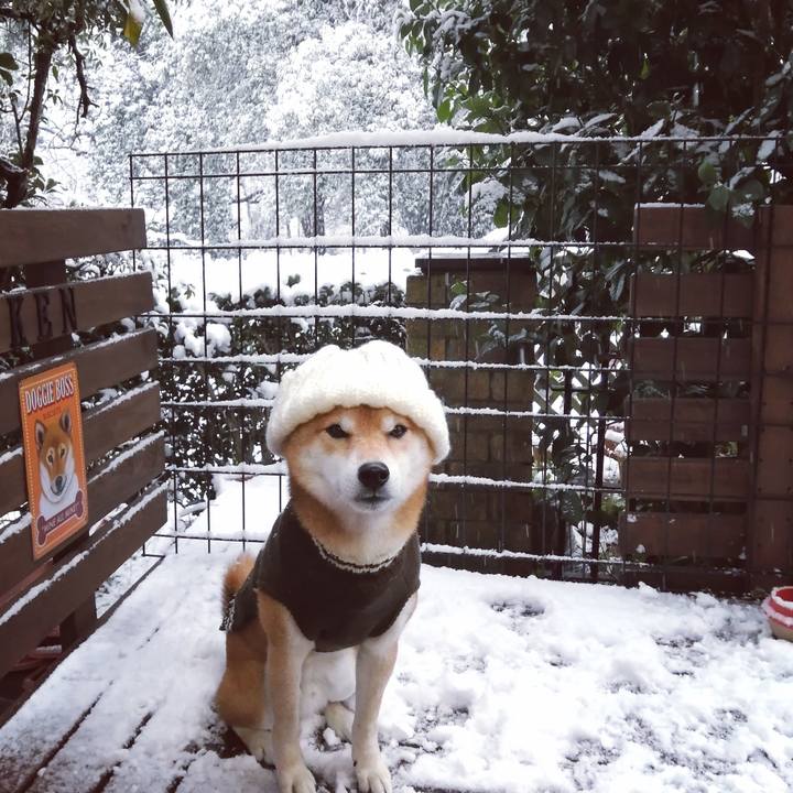 5b4afd75 2e52 49a9 9958 59a77d2dc624 1641454839209