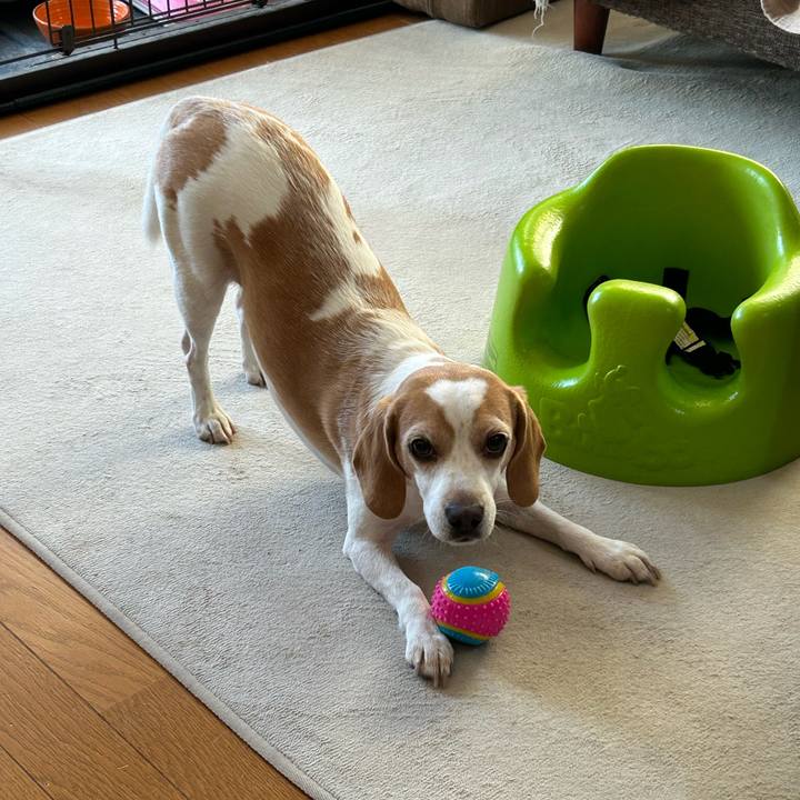 5b4b04d6 bc42 4ae3 a046 b74ceba612b3 1702433413104