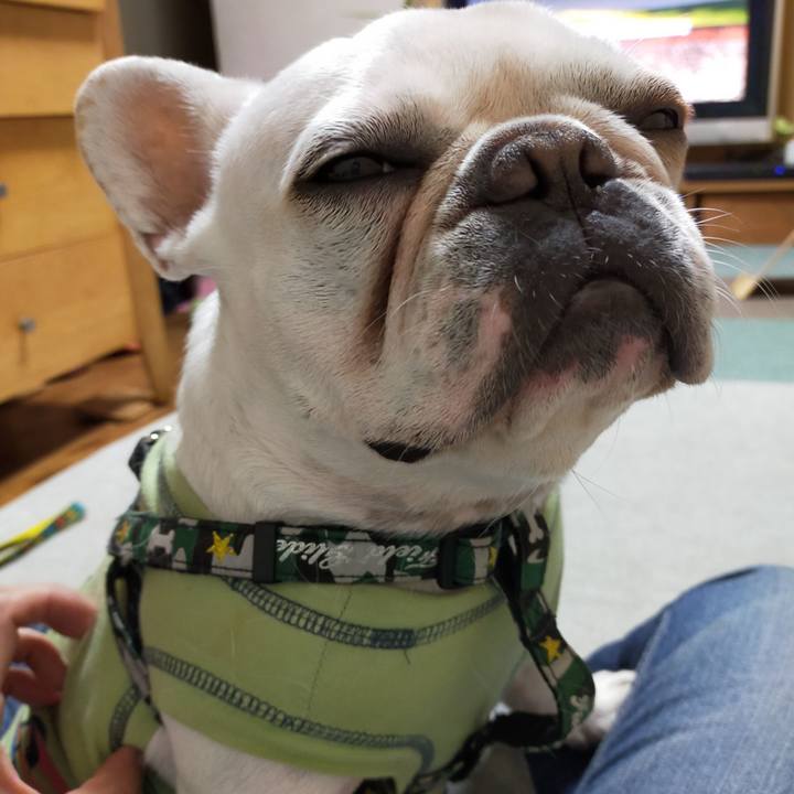 5b4b1087 52a2 4a95 bd36 b5063849592c 1636196173679