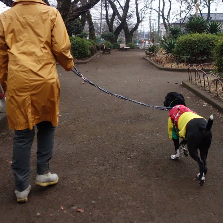 5b4b277a a0d1 429c b908 f734635ddf0b 1613346740974