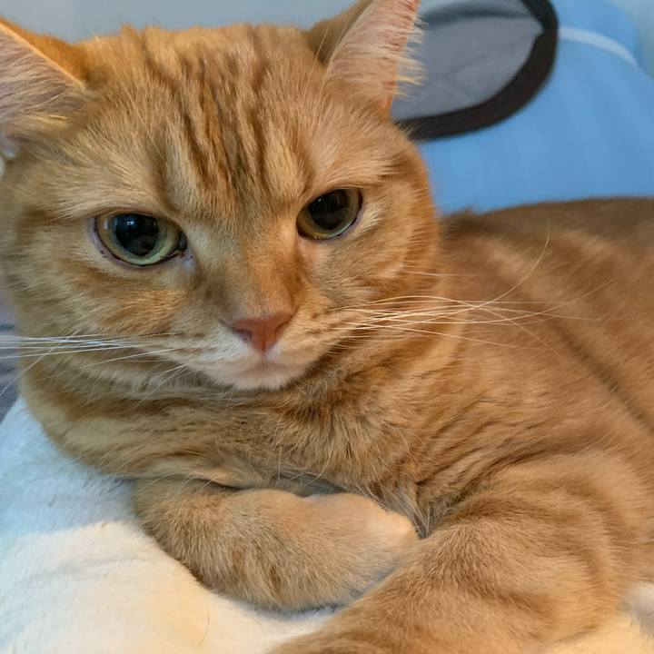 5b4b4258 5cde 4090 8ecf 5d9f1532c49e 1633047114892