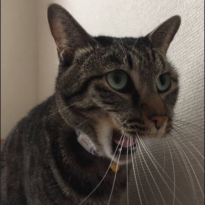 5b4b48ca 6093 421a b917 52ff9a07806c 1571731999569