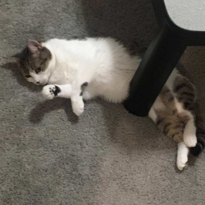 5b4b5e70 a550 4783 9b58 81d948c91d8f 1663801309380