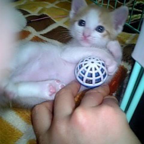 5b4b8b04 f1b8 4268 be71 8d54623fcb47 1680027869111