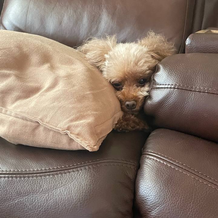 5b4b98fe 92ae 4132 b4b6 6297e24e467e 1721520225214