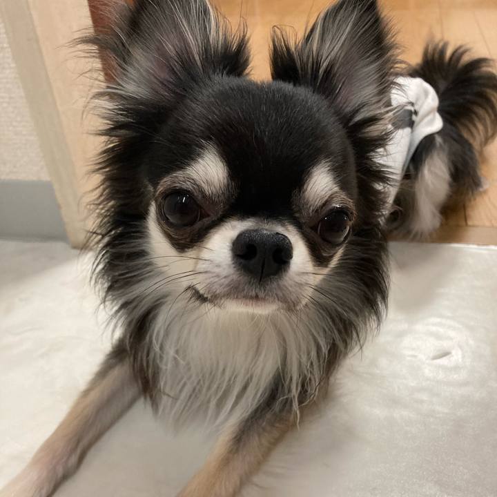 5b4b9a00 d452 4614 8a3a 6712623ec688 1617422845607