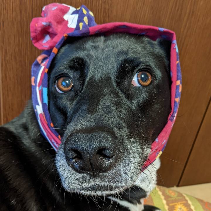 5b4ba6eb 4396 475e ba19 bf41072a6ee6 1654249969804