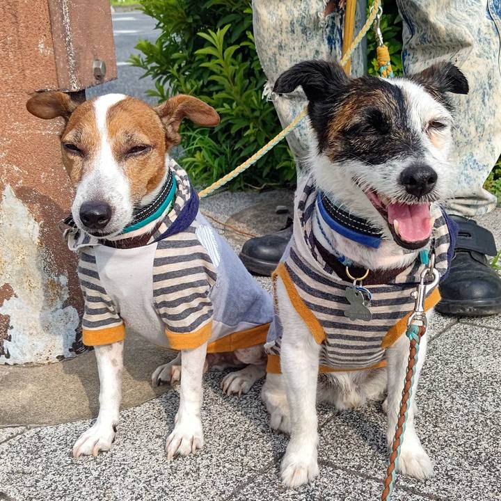 5b4ba749 ae01 4cfa b2d1 563ecae1cf90 1720218882034