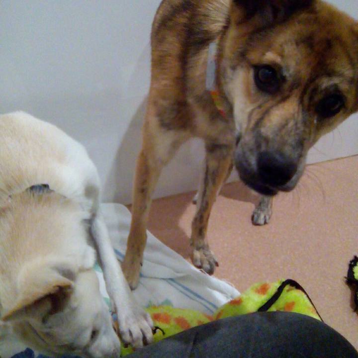 5b4bb024 5d6b 43aa 95e7 4a6354623315 1539419975162