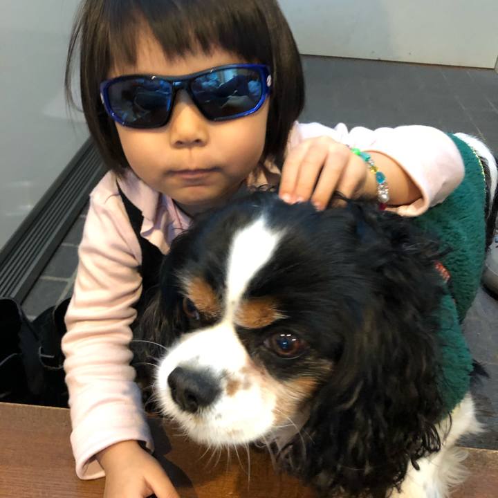 5b4bb9a5 b720 42be bb2c ad4d1213ab2d 1577807125408