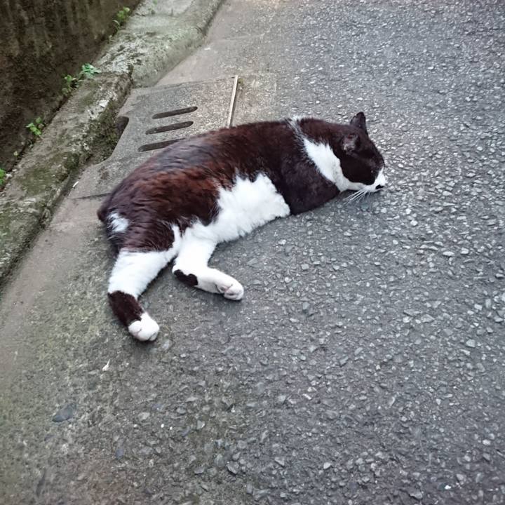 5b4bc815 ed9e 47fb a5bf e512ce1784bc 1656585727686