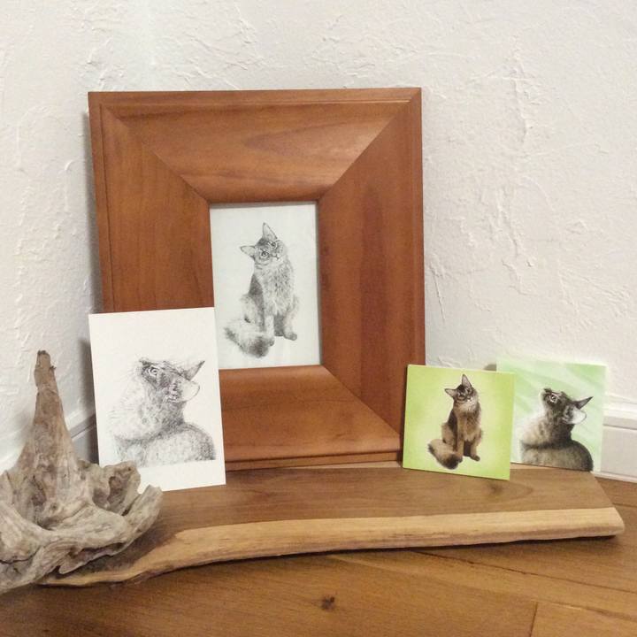 5b4beaf7 067c 426a a125 643082ca64f1 1611736314695